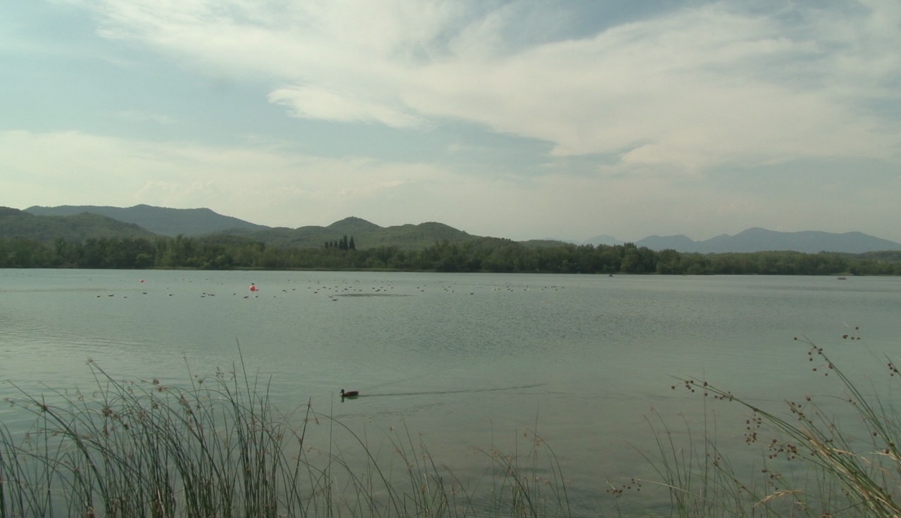 El Pla de l'Estany viu el 6è estiu més secs des de 1940